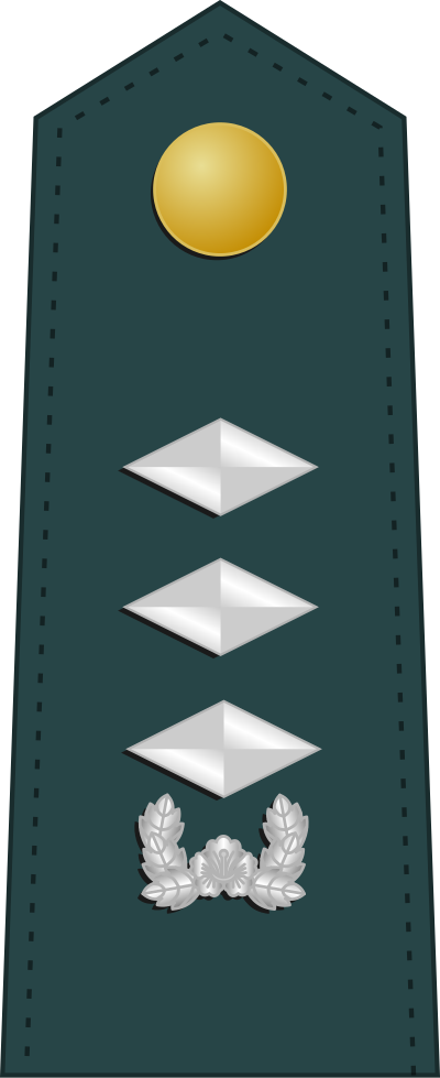 Daewi captain insignia