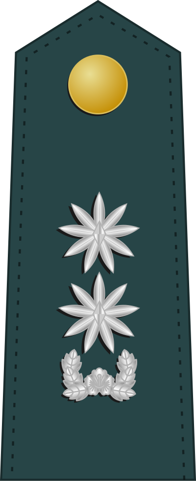 Jungnyeong lieutenant colonel insignia