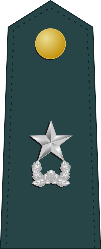Junjang brigadier general insignia