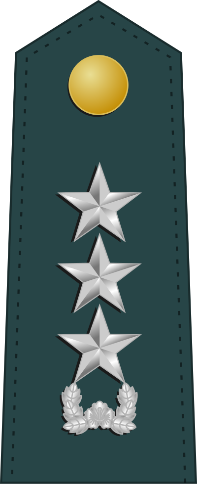 Jungjang lieutenant general insignia