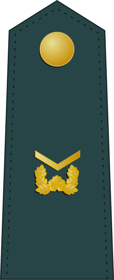 Hasa staff sergeant insignia
