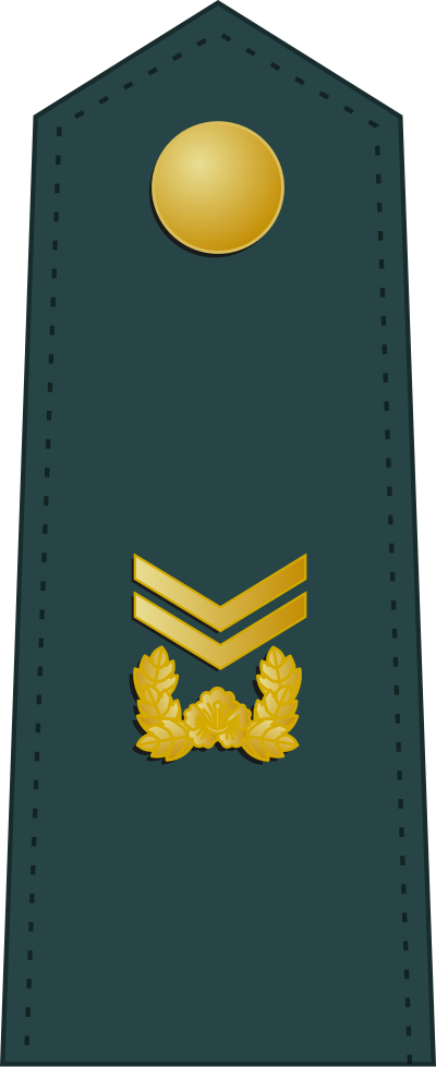 Jungsa sergeant first class insignia