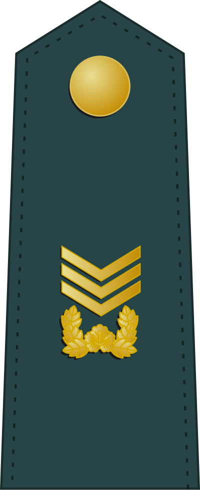 Sangsa master sergeant insignia