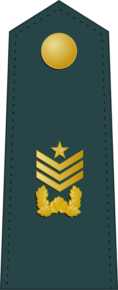 Wonsa sergeant major insignia