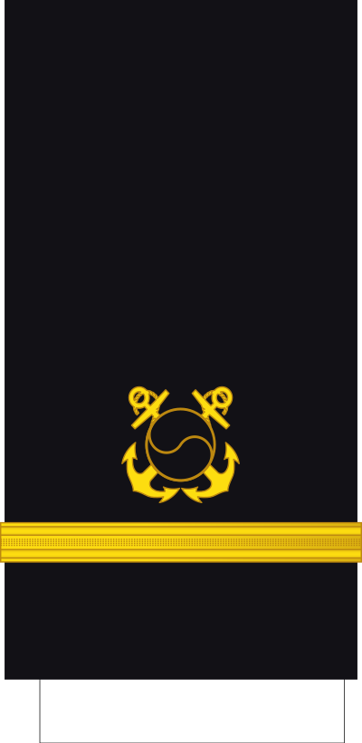 Sowi ensign sleeve insignia