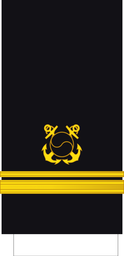 Jungwi lieutenant junior grade sleeve insignia
