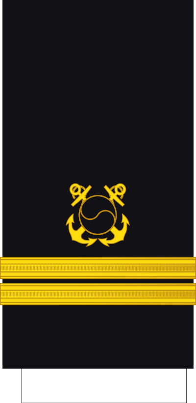 Daewi lieutenant sleeve insignia