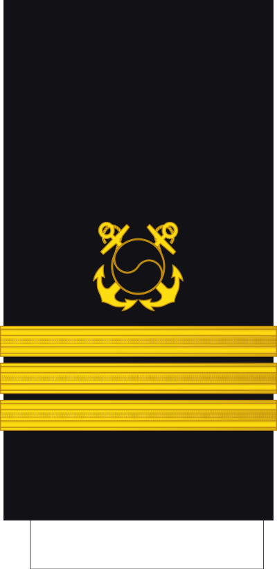 Jungnyeong commander sleeve insignia