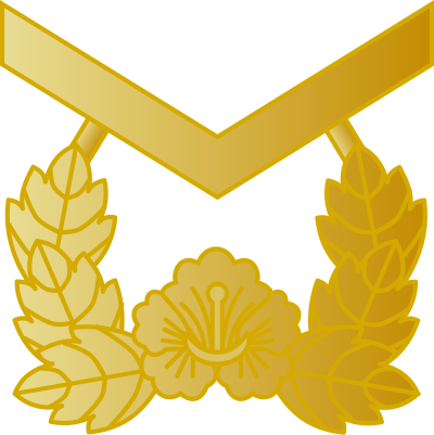 Hasa petty officer first class insignia