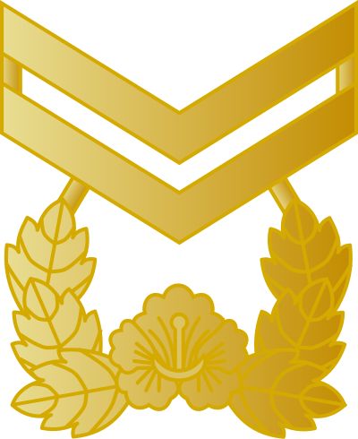 Jungsa chief petty officer insignia