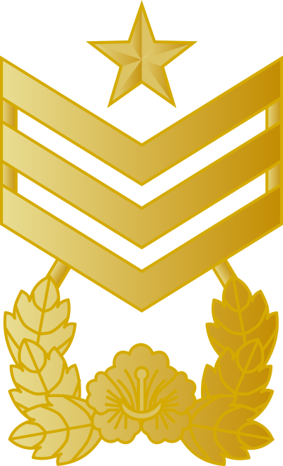 Wonsa master chief petty officer insignia