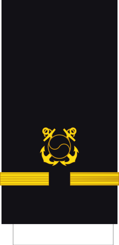 Junwi warrant officer sleeve insignia