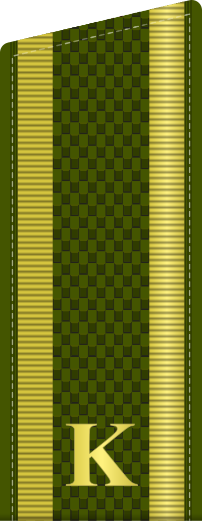 Officer cadet shoulder board