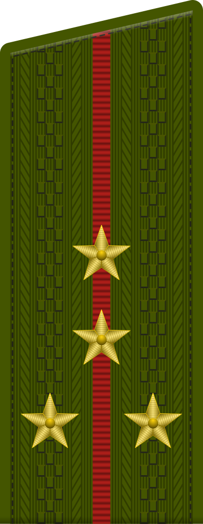 Captain shoulder board