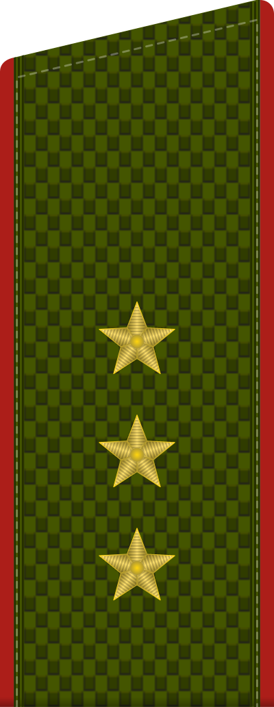 Senior Warrant Officer shoulder board