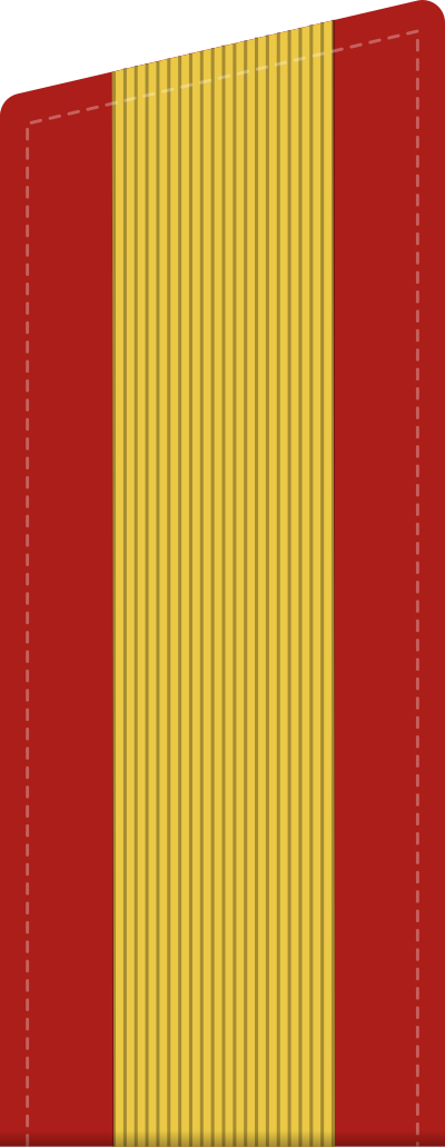 Sergeant Major shoulder board