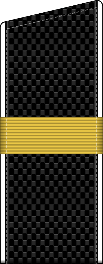 Chief Starshina shoulder board