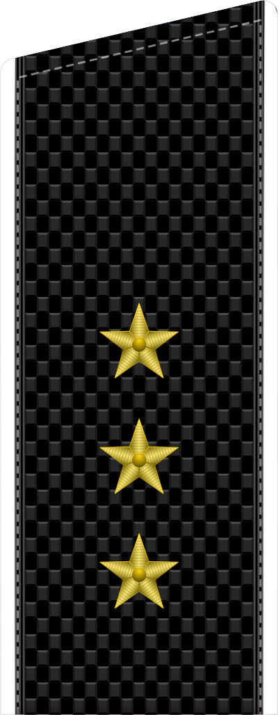 Senior Michman shoulder board