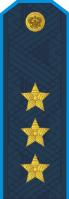 VKS Colonel General shoulder board
