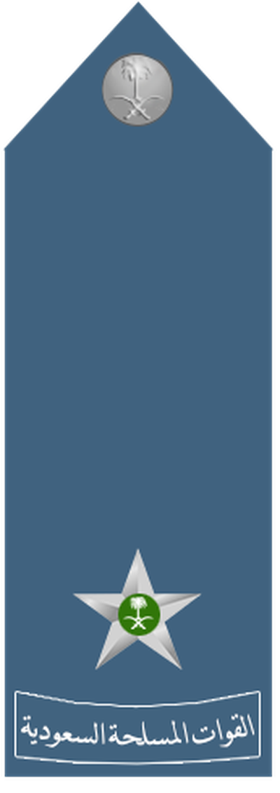 Air Force Mulazim shoulder insignia