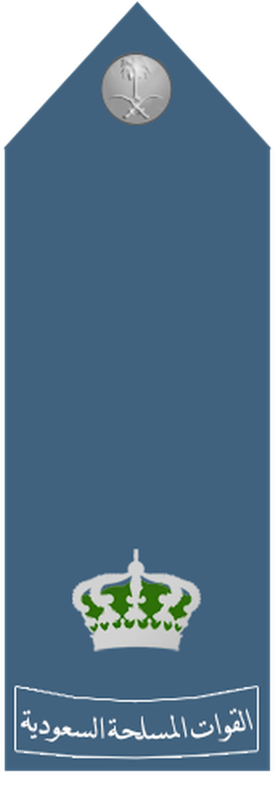 Air Force Ra'id shoulder insignia