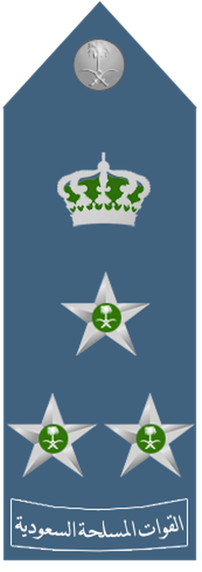 Air Force Amid shoulder insignia