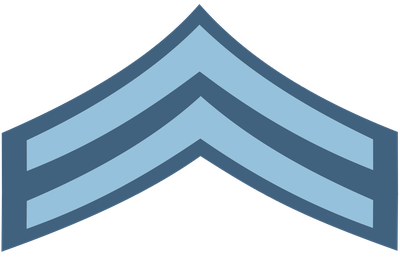 Air Force Earif insignia