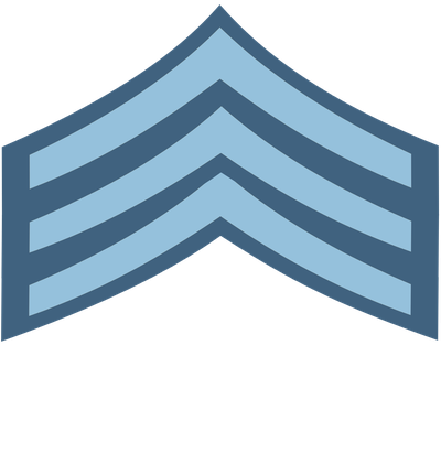 Air Force Wakil raqib insignia