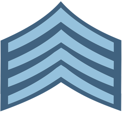 Air Force Raqib insignia