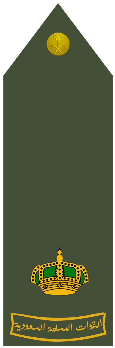 Ra'id shoulder insignia