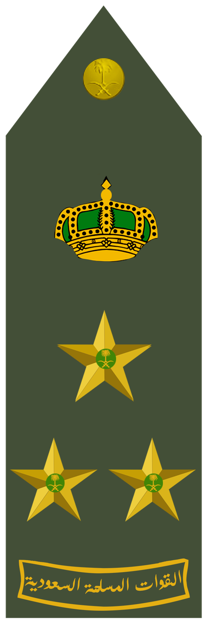 Amid shoulder insignia