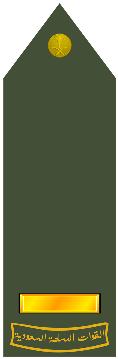 Rayiys ruqaba' insignia