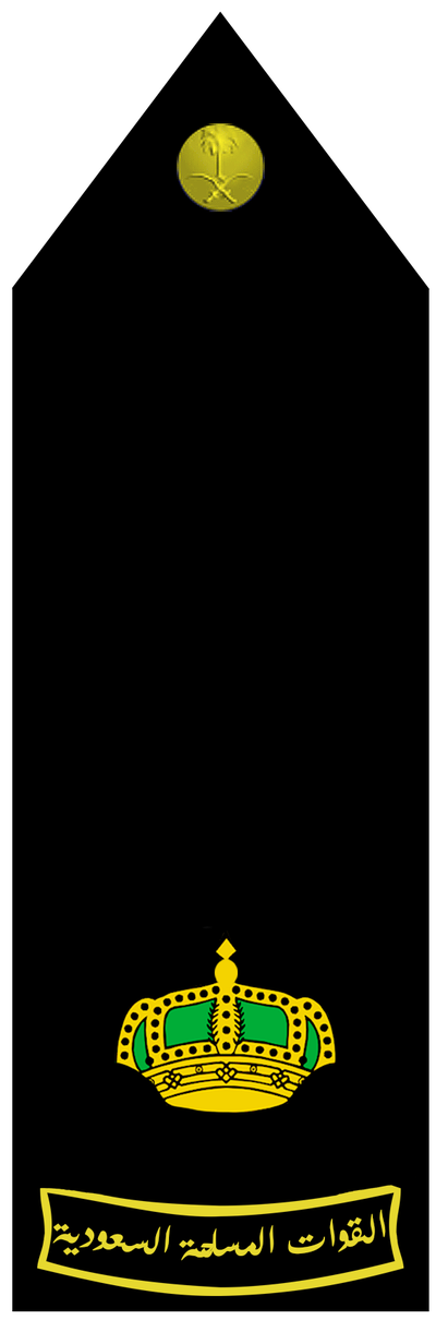 Naval Ra'id shoulder insignia
