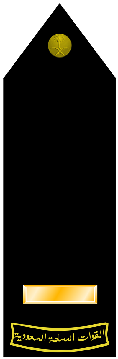 Naval Rayiys ruqaba' insignia