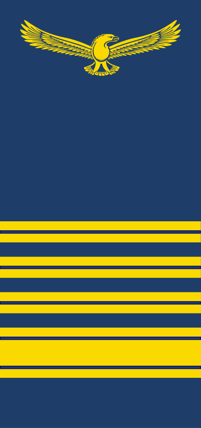 SAAF Colonel shoulder insignia