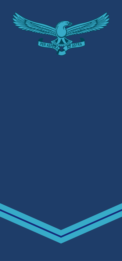 SAAF Lance Corporal insignia