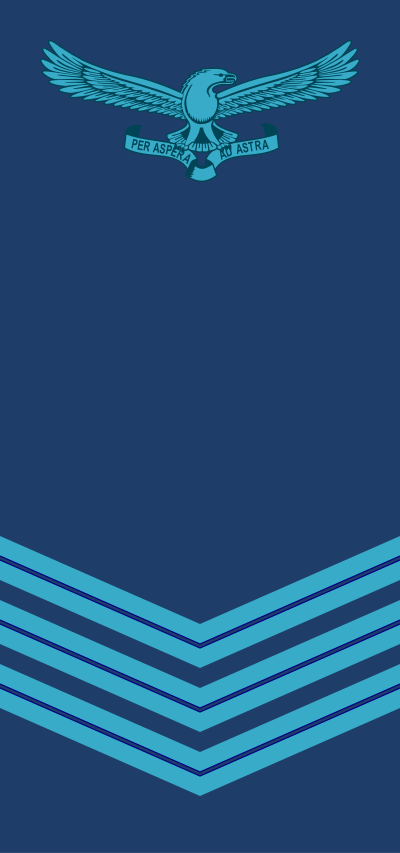 SAAF Sergeant insignia