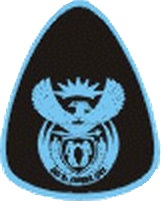 SAAF Warrant Officer Class 1 badge