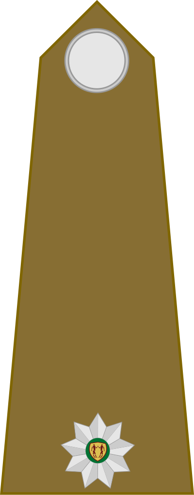 SA Army Second Lieutenant shoulder insignia