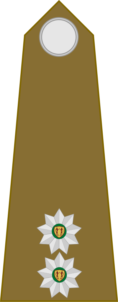 SA Army Lieutenant shoulder insignia