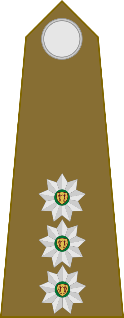 SA Army Captain shoulder insignia