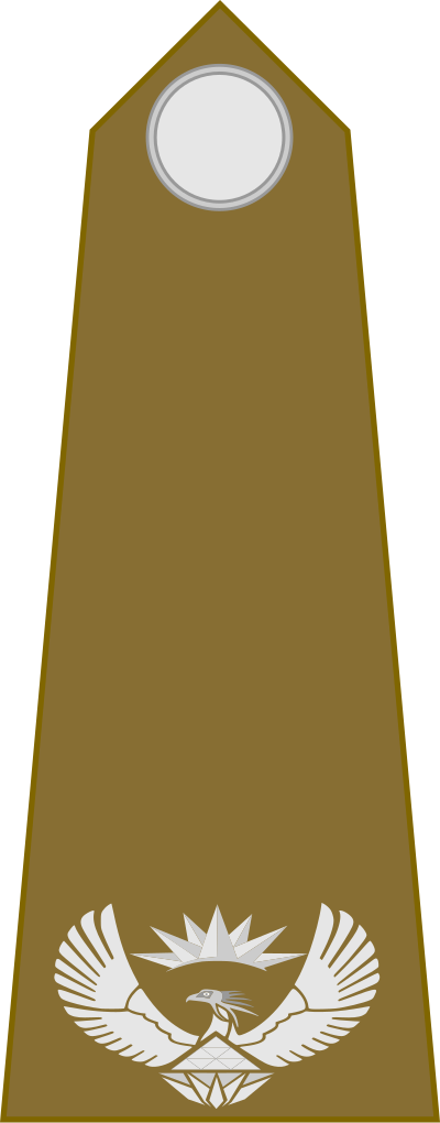 SA Army Major shoulder insignia