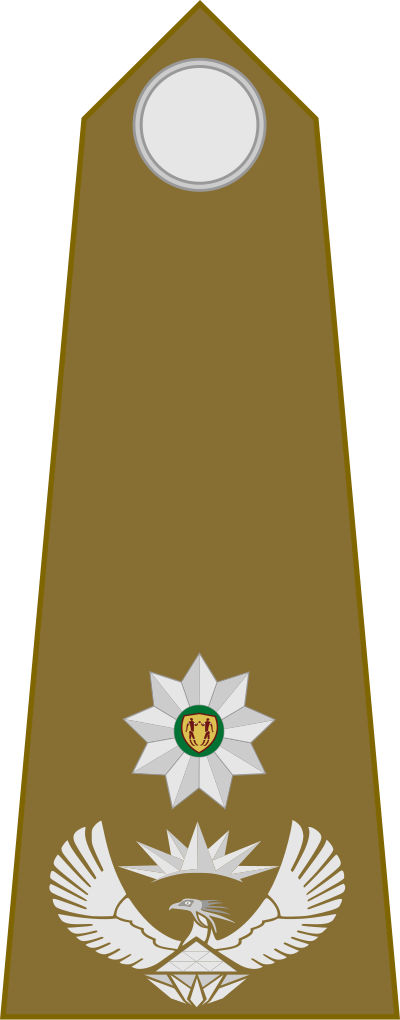 SA Army Lieutenant Colonel shoulder insignia