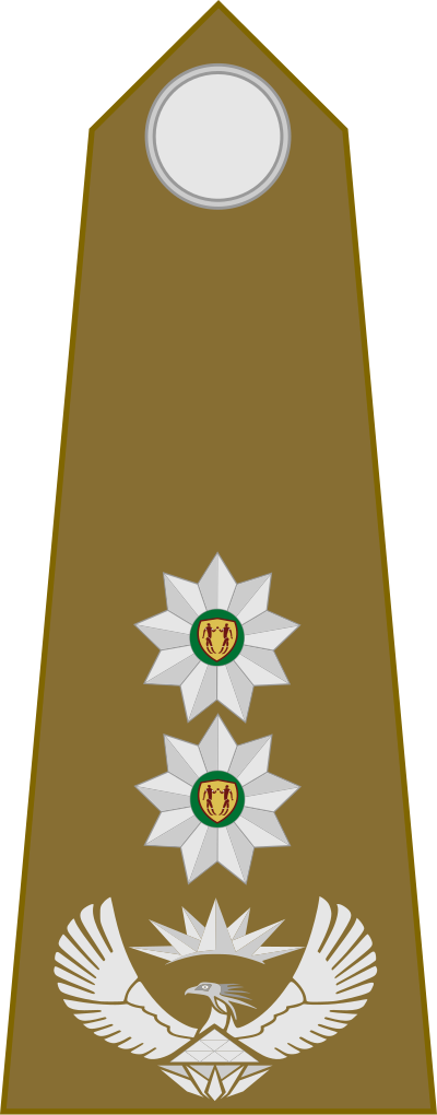SA Army Colonel shoulder insignia