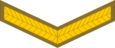 SA Army Lance Corporal insignia