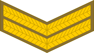 SA Army Corporal insignia