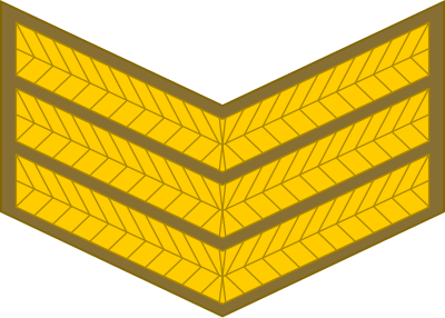 SA Army Sergeant insignia