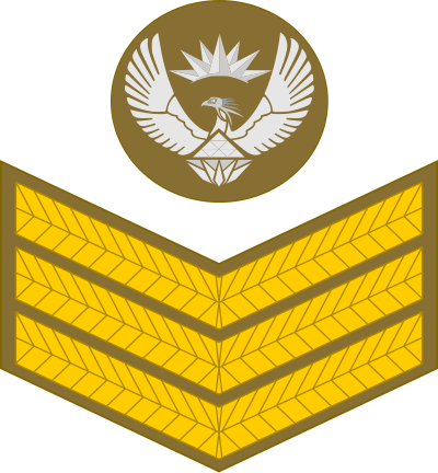 SA Army Staff Sergeant insignia