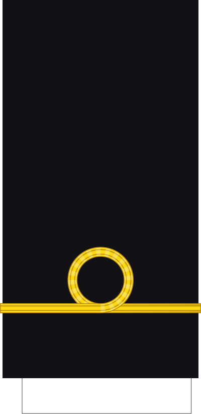 SA Navy Ensign sleeve insignia