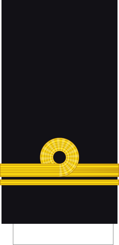 SA Navy Sub Lieutenant sleeve insignia